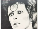 David Bowie - Thin White Duke Meets Ziggy - 12” Vinyl - Live Outtakes