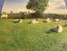 THE KLF 