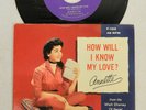 ANNETTE FUNICELLO HOW WILL I KNOW MY LOVE PICTURE SLEEVE / 45 PRM RECORD CLEAN