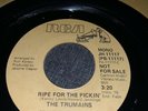 THE TRUMAINS - Ripe For The Pickin - Rare Original Promo Modern Soul 45 EX+