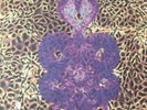 Bardo Pond Amanita Double 12 Inch Vinyl LP
