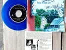 IOWA ALT ROCK PUNK blue vinyl PS 45: HOUSE OF LARGE SIZES North Pole THE TYROS