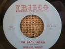 Willie West Rare Soul 45 Lost Love / I'm Back Again Frisco Records New Orleans