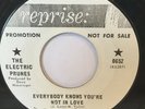 ELECTRIC PRUNES Everybody Knows You're Not in Love PSYCH 45 Reprise PROMO EX