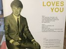 Brian Wilson Brian Loves You Private Press LP ULTRASONIC