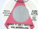 THE MARMALADE OTHERWISE IT'S BEEN A PERFECT DAY B/W I SEE THE RAIN EPIC WLP COND