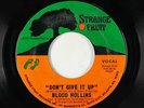 70s Soul 45 - Blood Hollins - Don't Give It Up - Strange Fruit - VG++ mp3