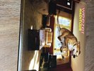 Weezer Raditude Vinyl LP 2009 Mainly Album Cover