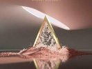 The Vamps-Cherry Blossom (UK IMPORT) VINYL NEW