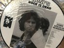 The Doors Rock is Dead Picture Disk Private Press  ULTRASONIC