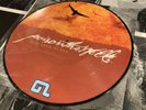 poison The Well Tear From The Red Picture Disc Vinyl Record Album