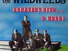 The Wildweeds: Greatest Hits ... & More , 16 Track LP Record