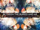 BETWEEN THE BURIED AND ME-PARALLAX: HYPERSLEEP DIALOGS VINYL LP NEUF