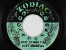 Northern Soul 45 - Ruby Andrews - Just Loving You - Zodiac - mp3