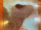 PINK FLOYD MEDDLE HARVEST 3C062-04917 italy 1971 NMINT / NMINT
