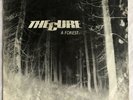 THE CURE -A Forest- Rare Original UK 7” + Picture Sleeve (Vinyl Record) Auct.