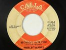Northern Soul 45 - Shirley Wahls - Because I Love You - Calla - mp3