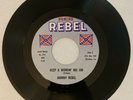 JOHNNY REBEL KEEP A WORKIN BIG JIM THE MONEY BELONGS TO US ON REB REBEL JFK