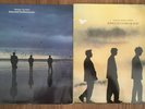 Echo and the Bunnymen original vinyl - Songs to learn and sing & Heaven up here 