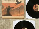 INVADA rec. Crippled Black Phoenix 2 x VINYL LP - a love of shared disasters