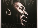 NEW Muddy Waters – Mannish Boy: The Best of 2LP on 180g Vinyl