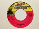 Wingy “Informer” and “Informer Version” Record Factory Records Jamaica Reggae