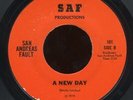 cali private yacht soft rock 7