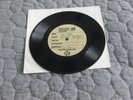 The Rockin' Berries - Mr Blue (single sided Acetate)