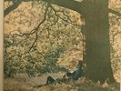 YOKO  ONO    / PLASTIC  ONO  BAND      LP   YOKO  ONO   / PLASTIC ONO BAND