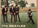 THE BEATLES 45 RPM EIGHT DAYS A WEEK/I'M A LOSER QMSP 16377 ITALY RARE