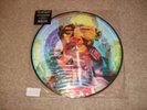 MANIC STREET PREACHERS The Holy Bible 20 (US Mix) LP Picture Disc RSD