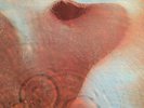 prog/psych PINK FLOYD 