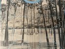 four tet.  pink.    vinyl