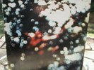 PINK FLOYD OBSCURED BY CLOUDS LP 1972 HARVEST PLAY TESTED