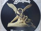 Whitesnake ?– Saints & Sinners  LP PICTURE DISC Sunburst ?LBGP30354 UK 1982 TOP
