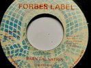 Warn the Nation/Warning Dub The Prophet (A. Forbe)/King Tubby  Forbes Label 45