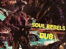 Bob Marley & the Wailers - Soul Rebels Dub [New Vinyl LP] Colored Vinyl, Ltd Ed