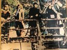 Steeleye Span - Hark  The Village Wait Vinyl LP 1970