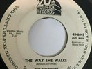 Rare Garage Psych Fuzz 45/ Mo-Shuns 
