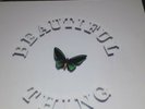 The Stone Roses vinyl Beautiful Thing 12