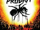 The Prodigy World's on Fire Live at Milton Keynes Sealed Remastered 2X Vinyl LP