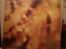 STEAMHAMMER (aka Reflection) 1969 CBS Records 63611 Stereo Vinyl LP orange label