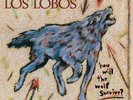 Los Lobos HOW WILL THE WOLF SURVIVE? 180g Back To The 80s 2018 NEW VINYL LP