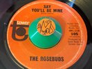 THE ROSEBUDS 
