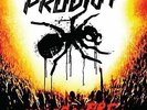 The Prodigy : World's On Fire VINYL 12