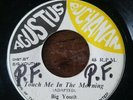 Reggae 45 - Big Youth - Touch Me In The Morning  - Negusa Nagast Band - Version