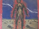 Lp  james brown   bodyheat   polydor original press usa