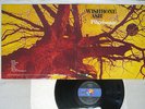 WISHBONE ASH PILGRIMAGE MCA MCA-5089 Japan VINYL LP