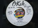 THE OPALS   I'M SO AFRAID    Okeh Promo    Northern Soul
