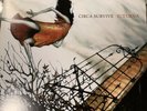Circa Survive - Juturna Tour Exclusive White Vinyl